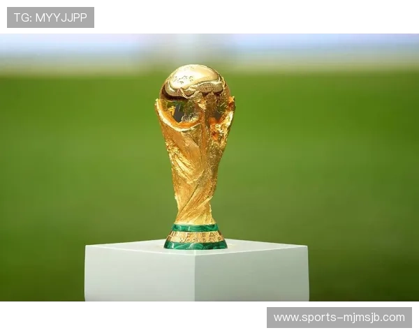 世界杯球队星级排名最新分析助你全面了解各队实力变化